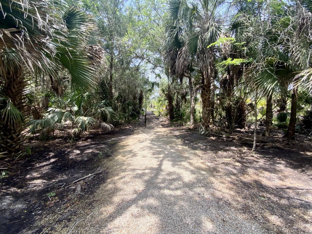 20000 Mossy Hammock Grade,LAMONT,Florida 32336,2 Bedrooms Bedrooms,2 BathroomsBathrooms,Detached single family,20000 Mossy Hammock Grade,358821