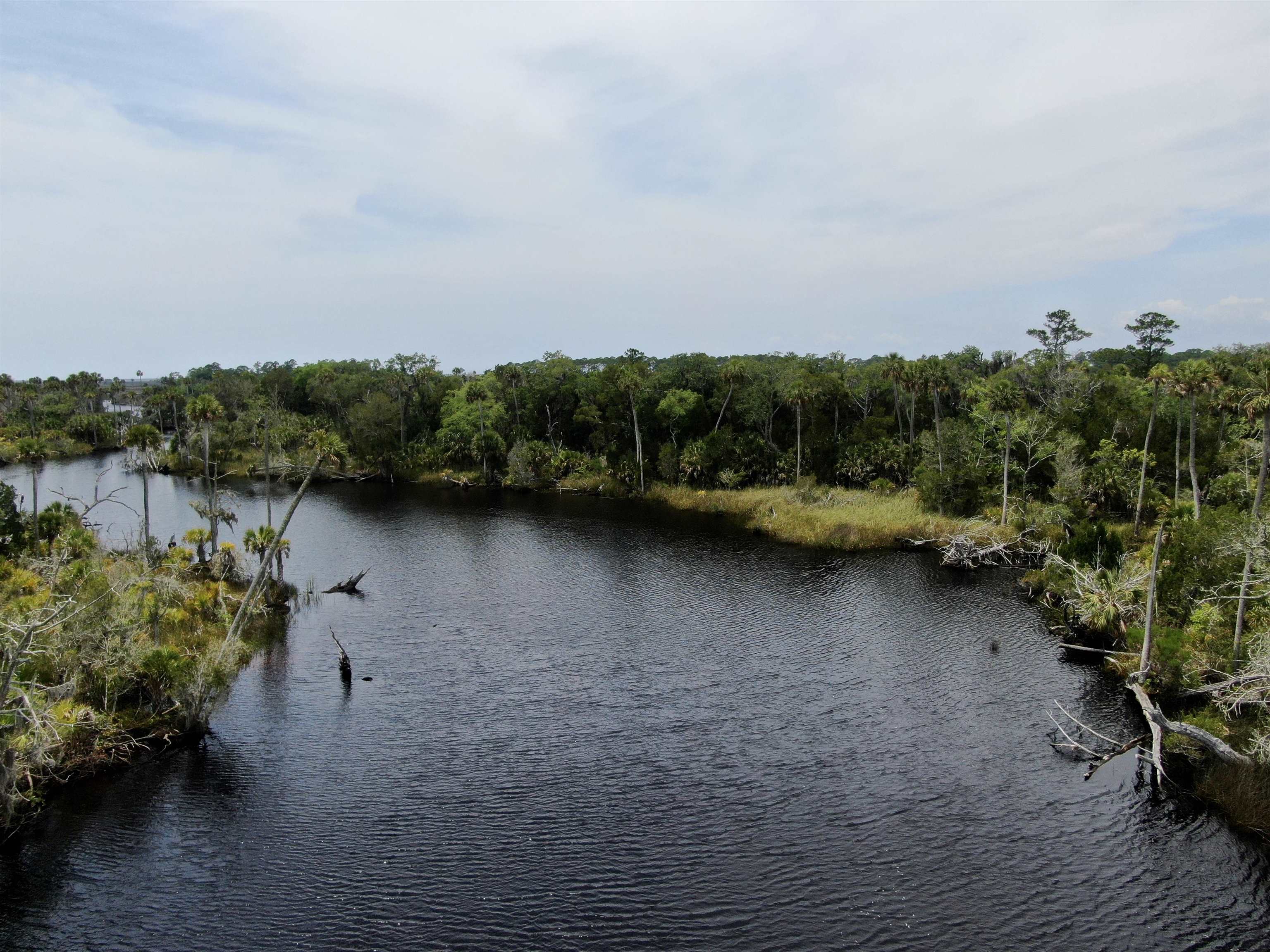 20000 Mossy Hammock Grade,LAMONT,Florida 32336,2 Bedrooms Bedrooms,2 BathroomsBathrooms,Detached single family,20000 Mossy Hammock Grade,358821