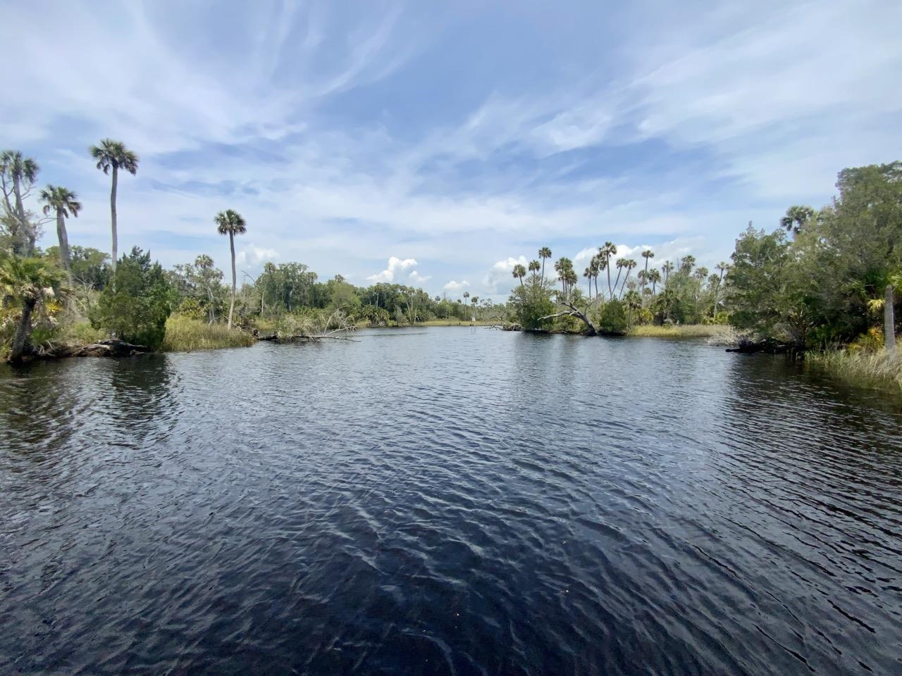 20000 Mossy Hammock Grade,LAMONT,Florida 32336,2 Bedrooms Bedrooms,2 BathroomsBathrooms,Detached single family,20000 Mossy Hammock Grade,358821