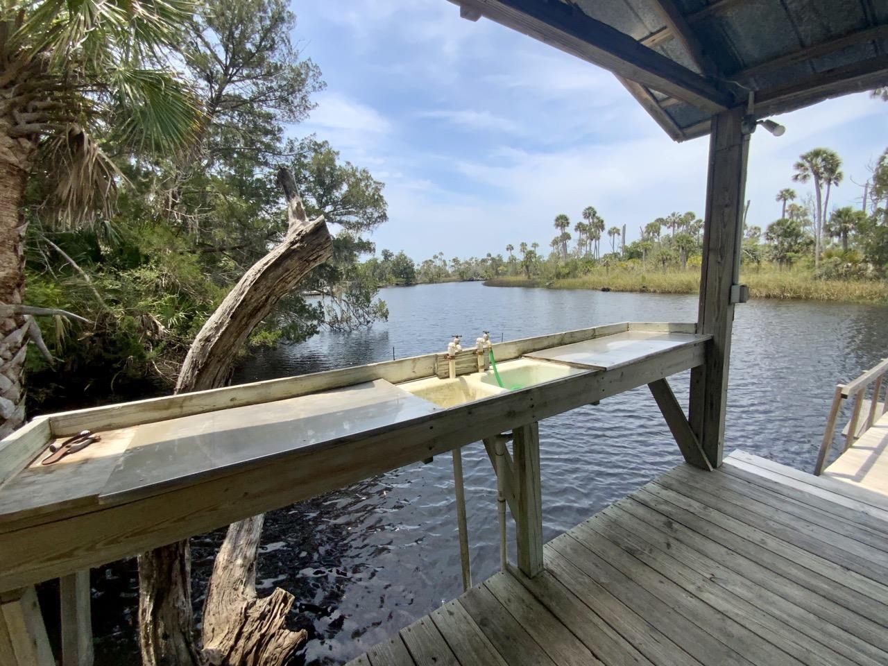 20000 Mossy Hammock Grade,LAMONT,Florida 32336,2 Bedrooms Bedrooms,2 BathroomsBathrooms,Detached single family,20000 Mossy Hammock Grade,358821