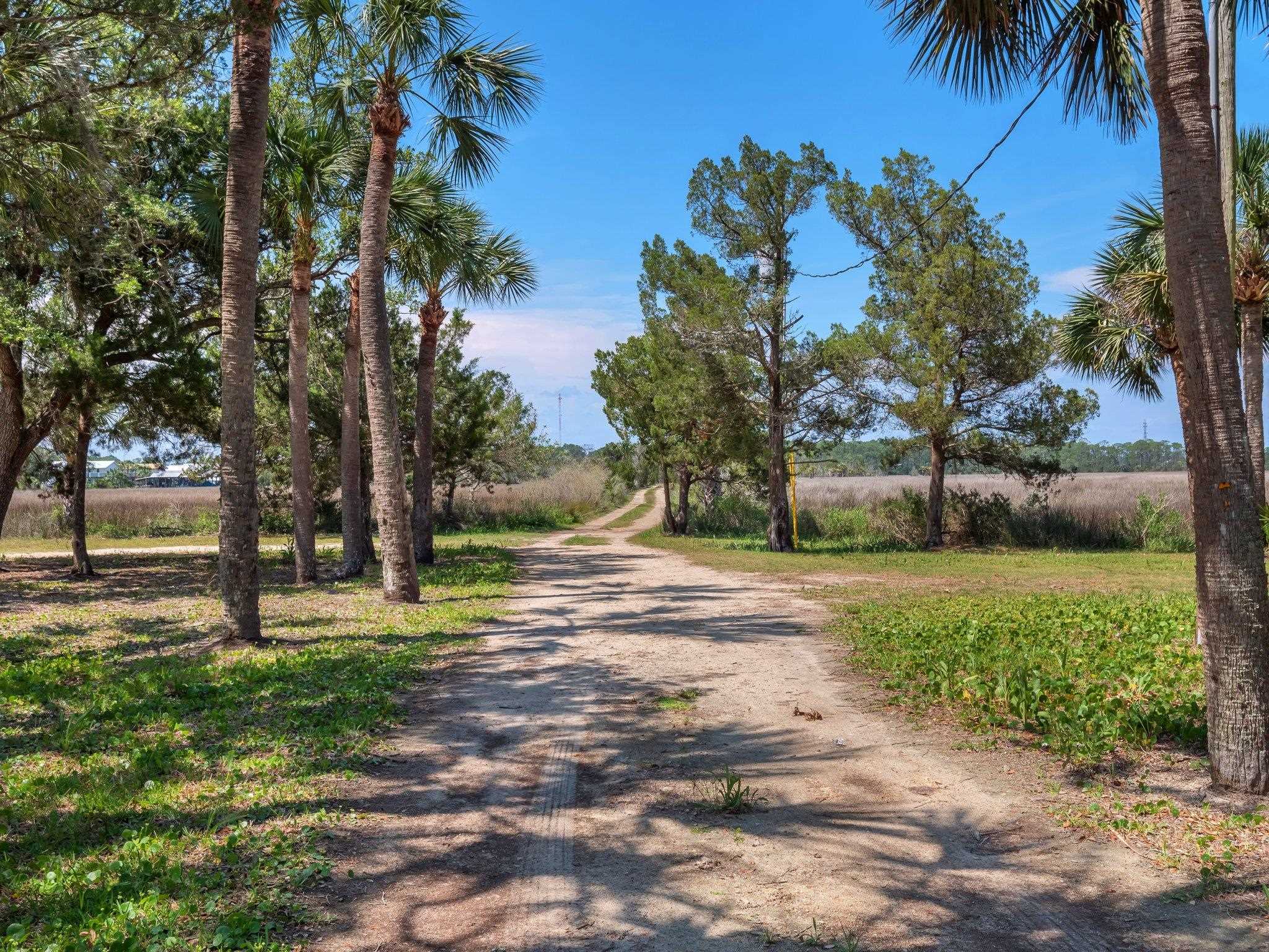 20470 Marina Road,KEATON BEACH,Florida 32348,4 Bedrooms Bedrooms,3 BathroomsBathrooms,Detached single family,20470 Marina Road,359056