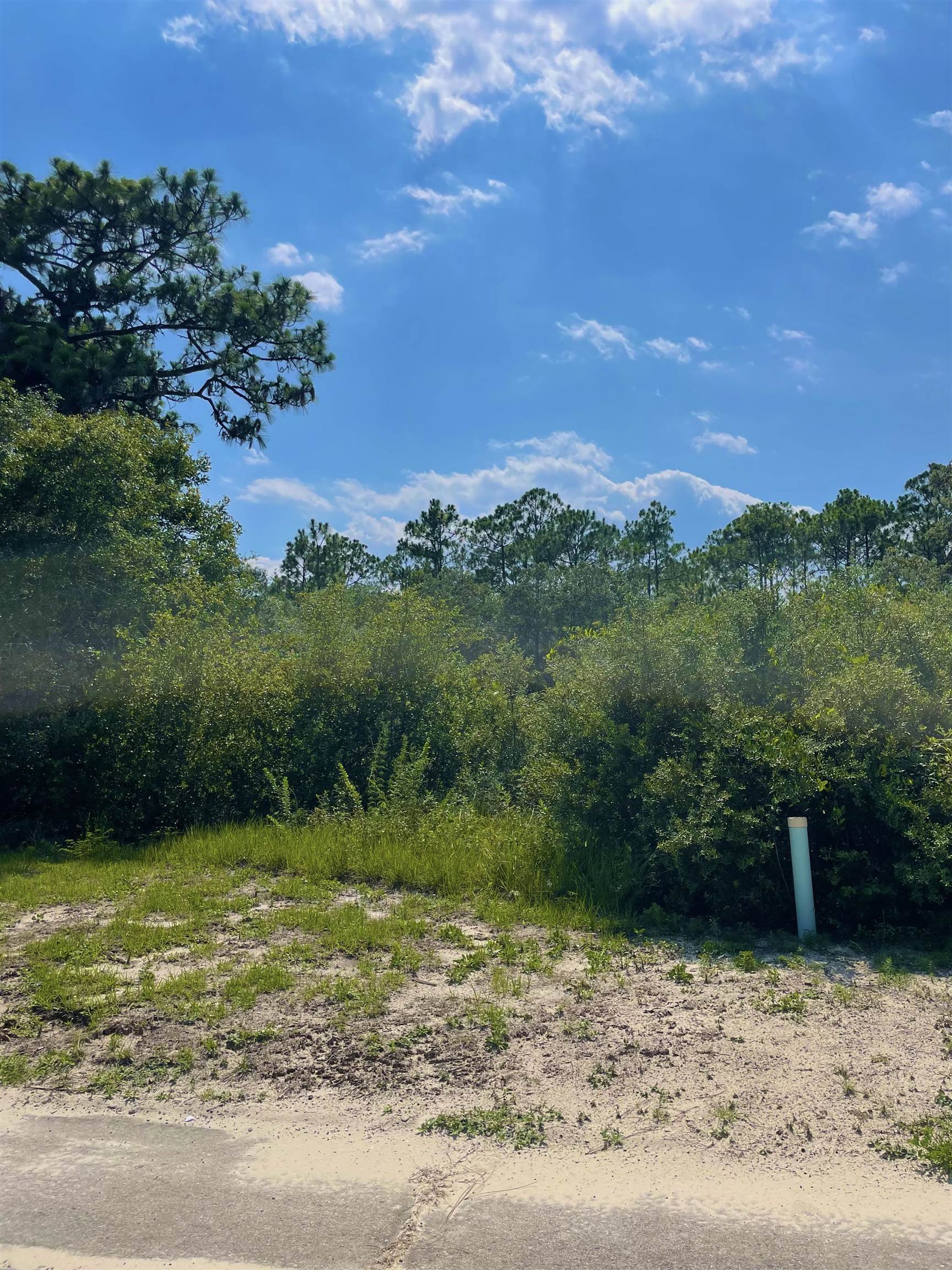 119 Spoonbill,CARRABELLE,Florida 32323,Lots and land,Spoonbill,360644