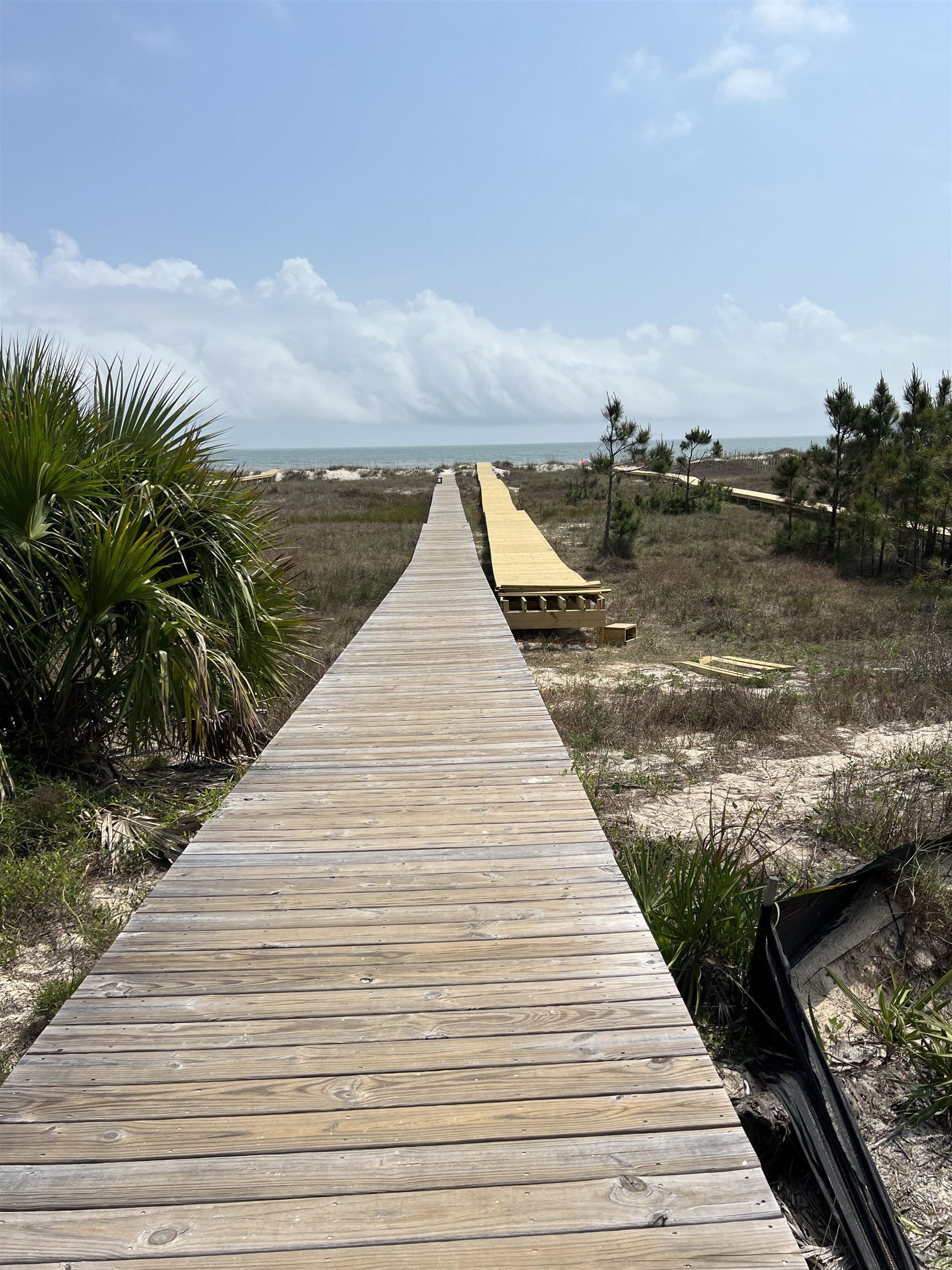 42 Rhonda del Sol,CAPE SAN BLAS,Florida 32456,Lots and land,Rhonda del Sol,360678