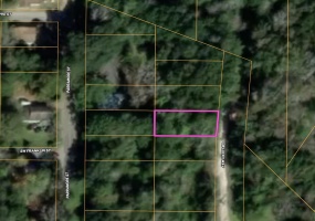 Vacant Lucky,MADISON,Florida 32340,Lots and land,Lucky,366207