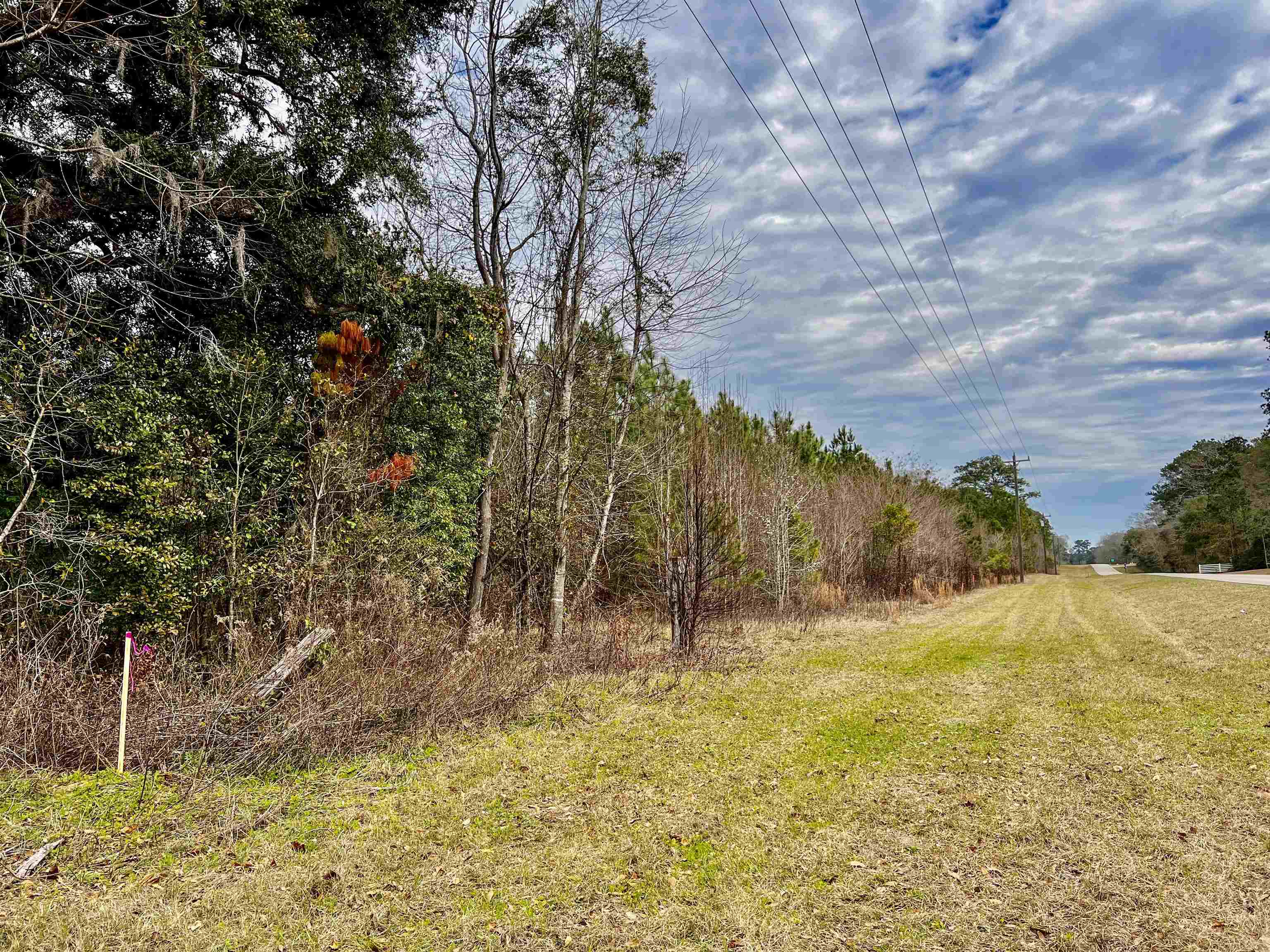 XOX Lot 5 Solomon Dairy,QUINCY,Florida 32351,Lots and land,Solomon Dairy,368797