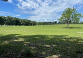 13051 40th,OTHER FLORIDA,Florida 32626-8647,Lots and land,40th,366217
