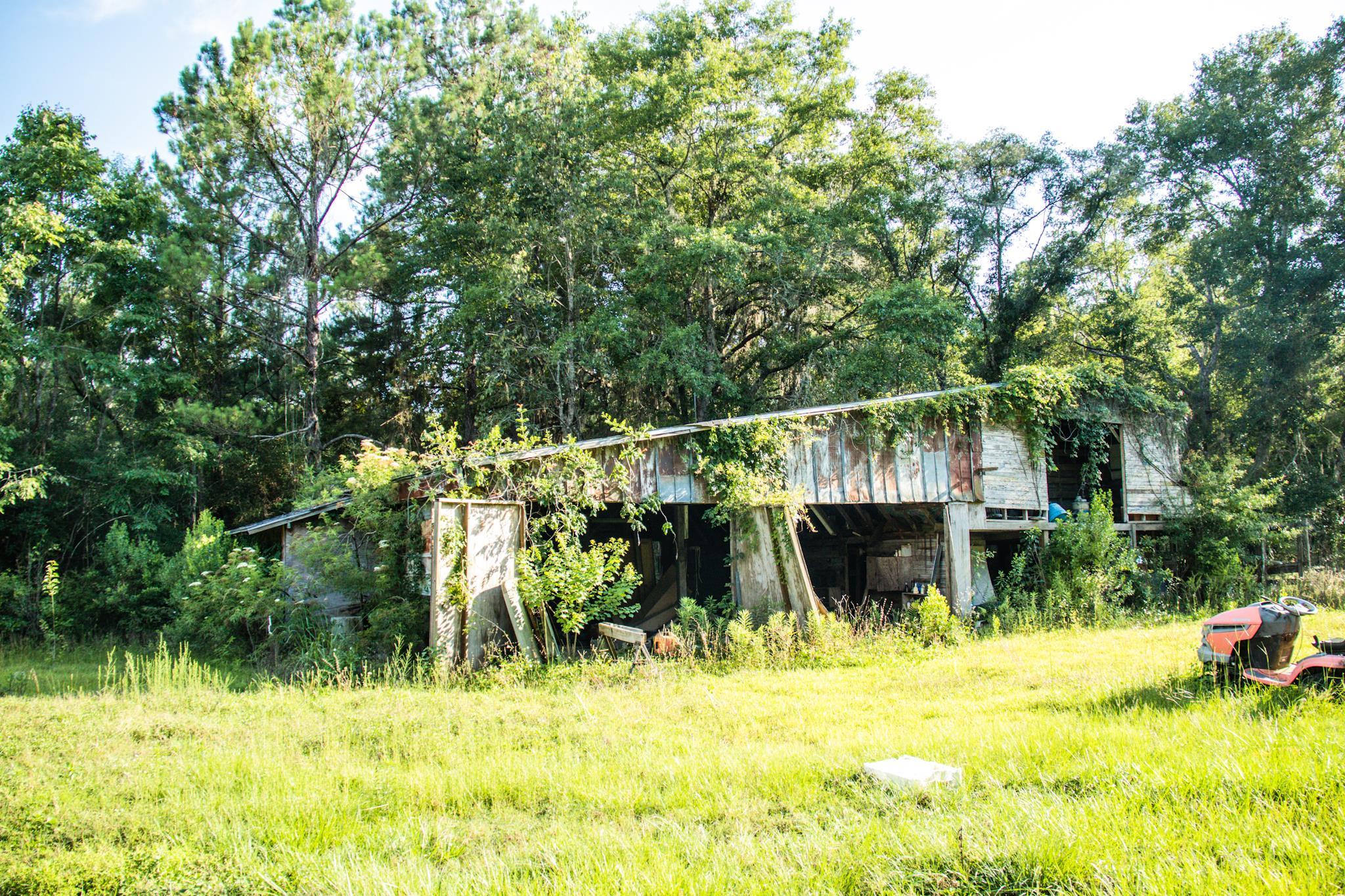 471 Leon Ward Road,PERRY,Florida 32348,4 Bedrooms Bedrooms,2 BathroomsBathrooms,Manuf/mobile home,471 Leon Ward Road,359296