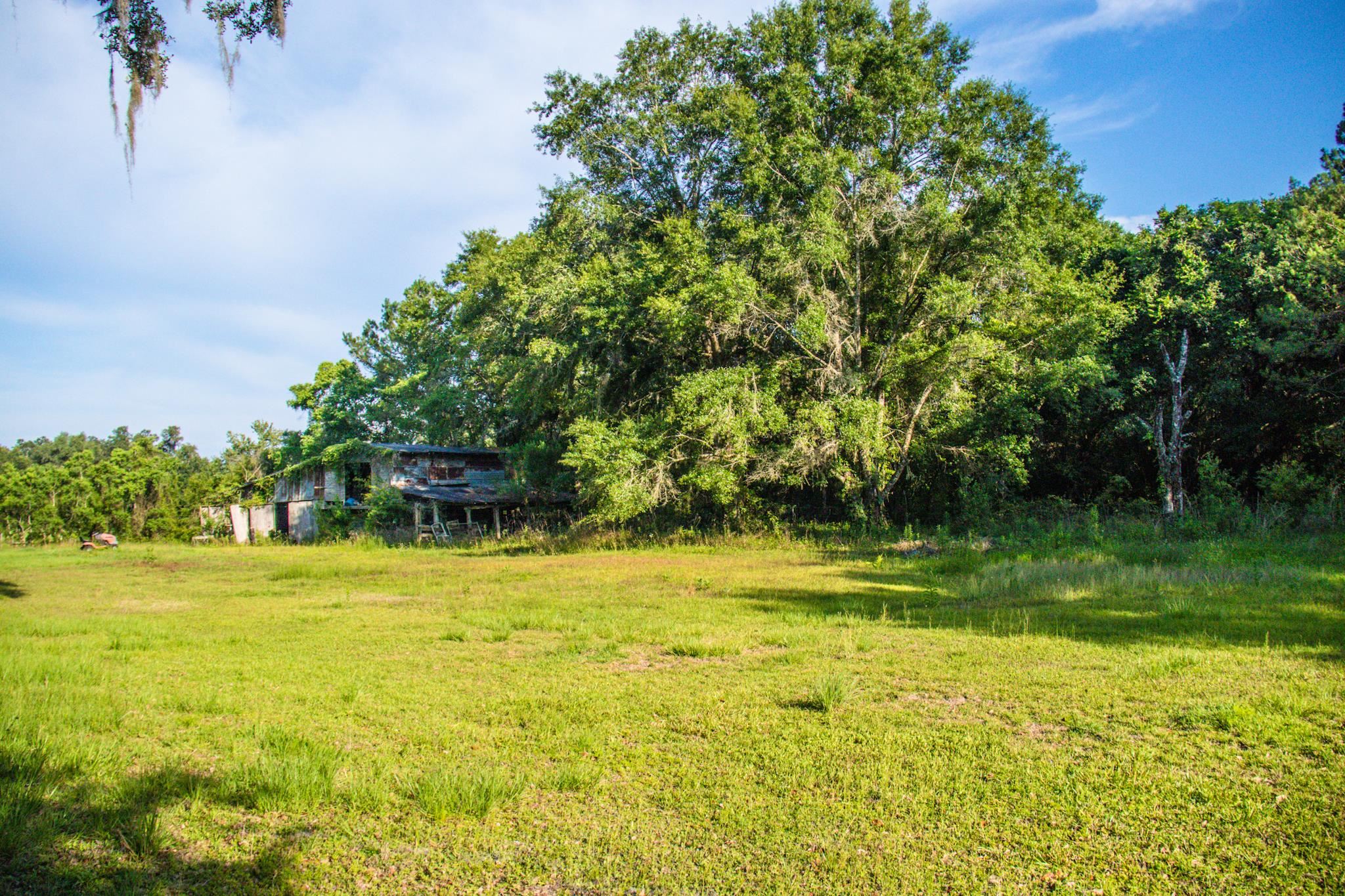 471 Leon Ward Road,PERRY,Florida 32348,4 Bedrooms Bedrooms,2 BathroomsBathrooms,Manuf/mobile home,471 Leon Ward Road,359296