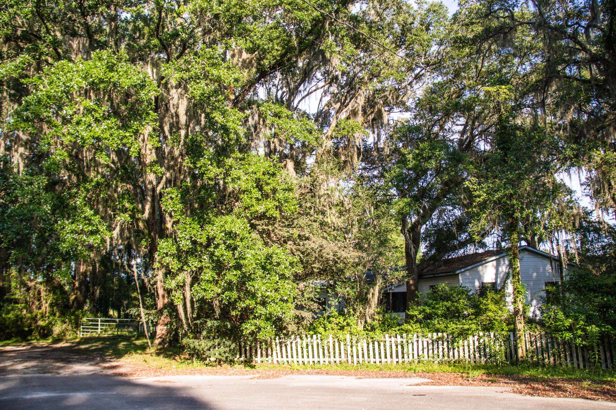 471 Leon Ward Road,PERRY,Florida 32348,4 Bedrooms Bedrooms,2 BathroomsBathrooms,Manuf/mobile home,471 Leon Ward Road,359296