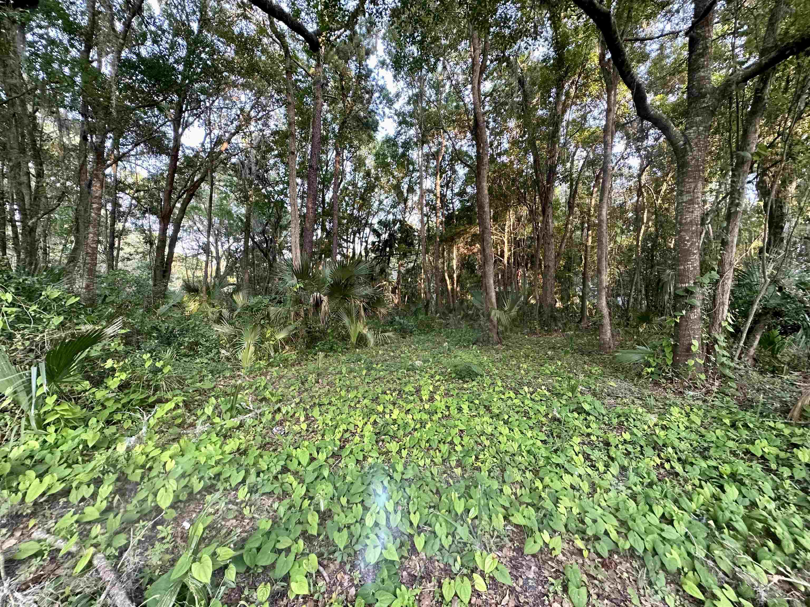 000 Summers,PERRY,Florida 32347,Lots and land,Summers,360800