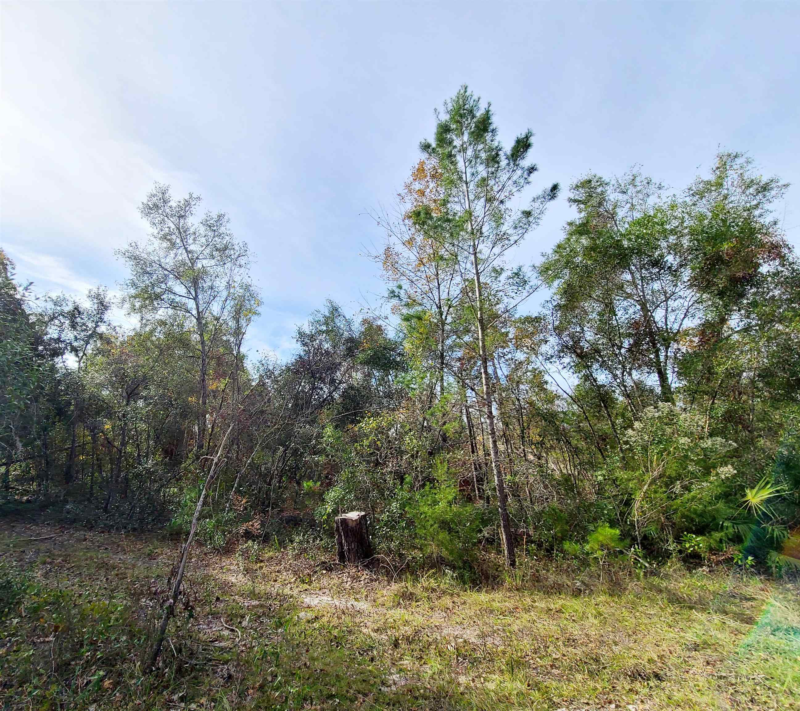12592 Strickland Landing,PERRY,Florida 32348,Lots and land,Strickland Landing,366277