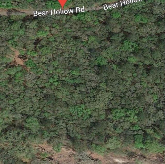 0 Bear Hollow,MONTICELLO,Florida 32331,Lots and land,Bear Hollow,366301