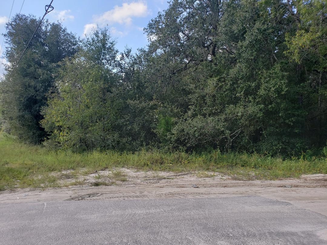 345 CR 315,OTHER FLORIDA,Florida 32148-0000,Lots and land,CR 315,366340