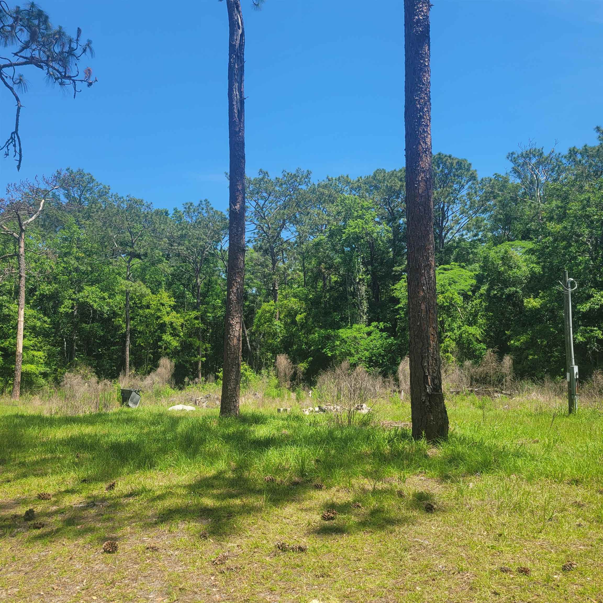 1004 Back Forest,TALLAHASSEE,Florida 32305,Lots and land,Back Forest,361303