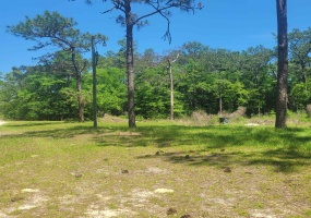 1004 Back Forest,TALLAHASSEE,Florida 32305,Lots and land,Back Forest,361303