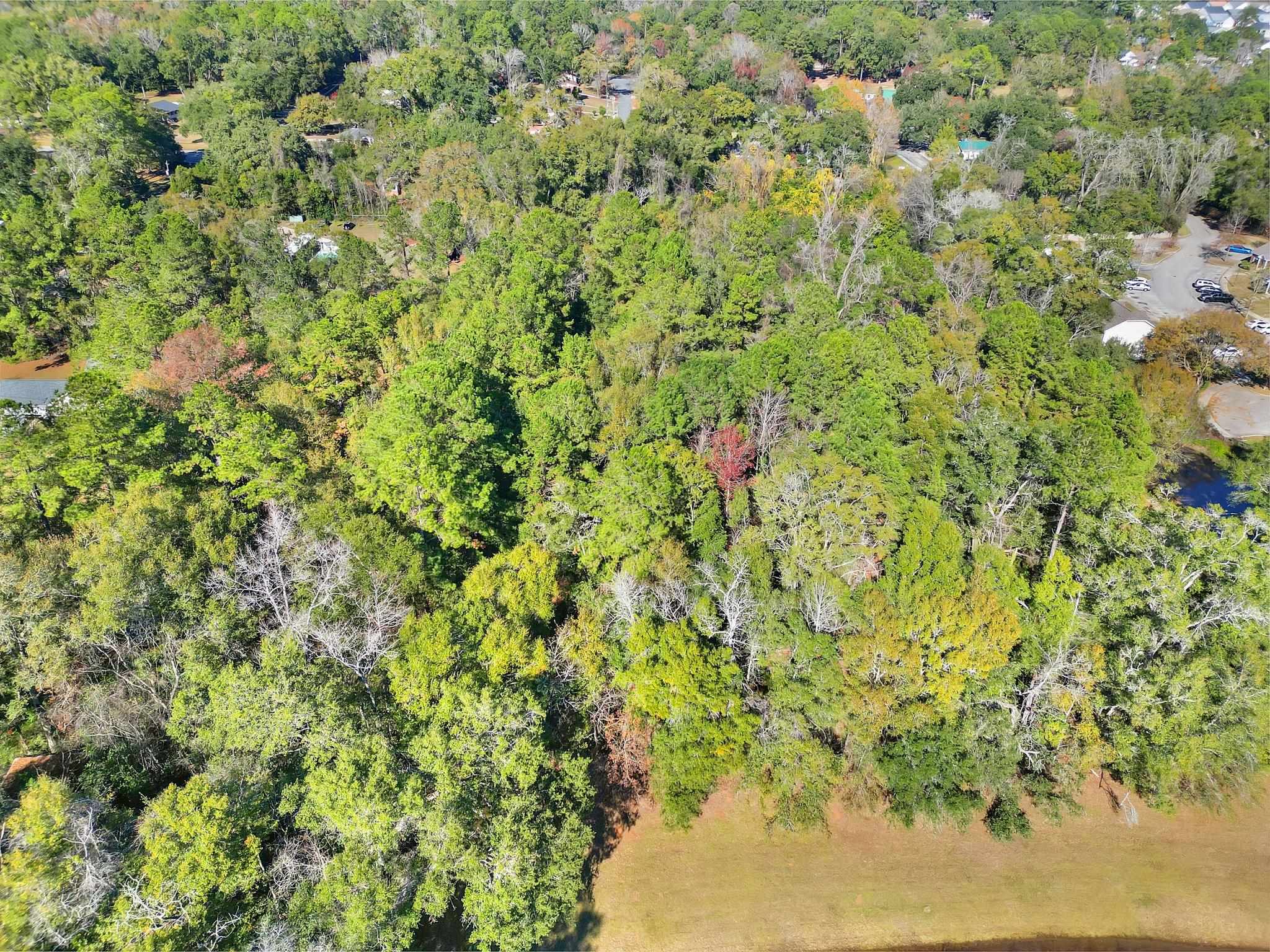 xxxx Trimble,TALLAHASSEE,Florida 32303,Lots and land,Trimble,368899