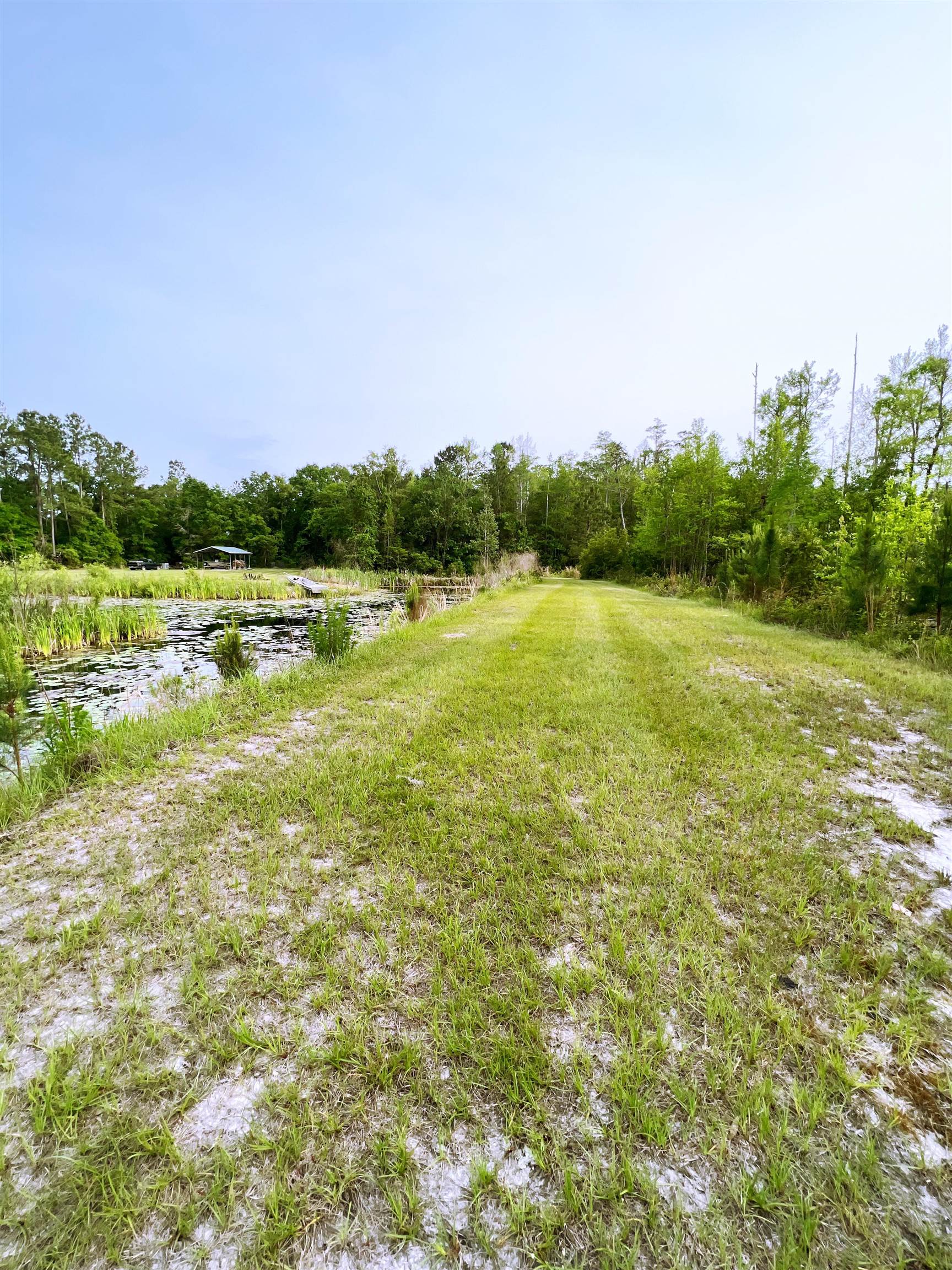 15245 Mt Gilead Road,GREENVILLE,Florida 32331,3 Bedrooms Bedrooms,2 BathroomsBathrooms,Detached single family,15245 Mt Gilead Road,359932