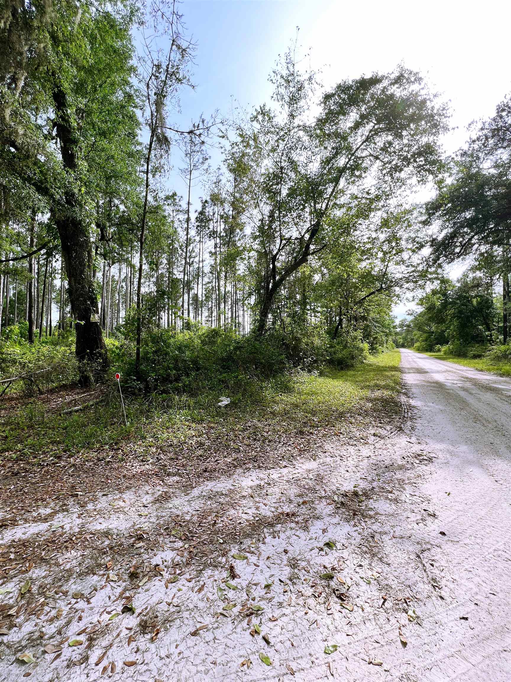 15245 Mt Gilead Road,GREENVILLE,Florida 32331,3 Bedrooms Bedrooms,2 BathroomsBathrooms,Detached single family,15245 Mt Gilead Road,359932