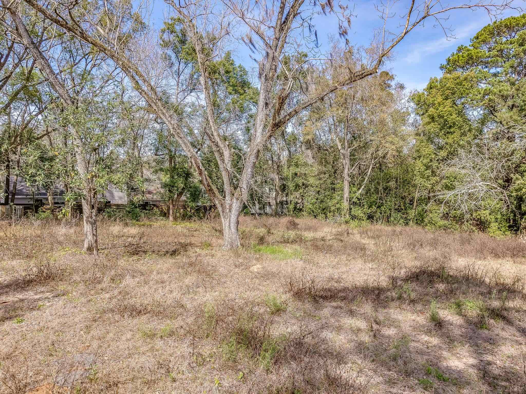 1452 Fisher,TALLAHASSEE,Florida 32301,Lots and land,Fisher,366440