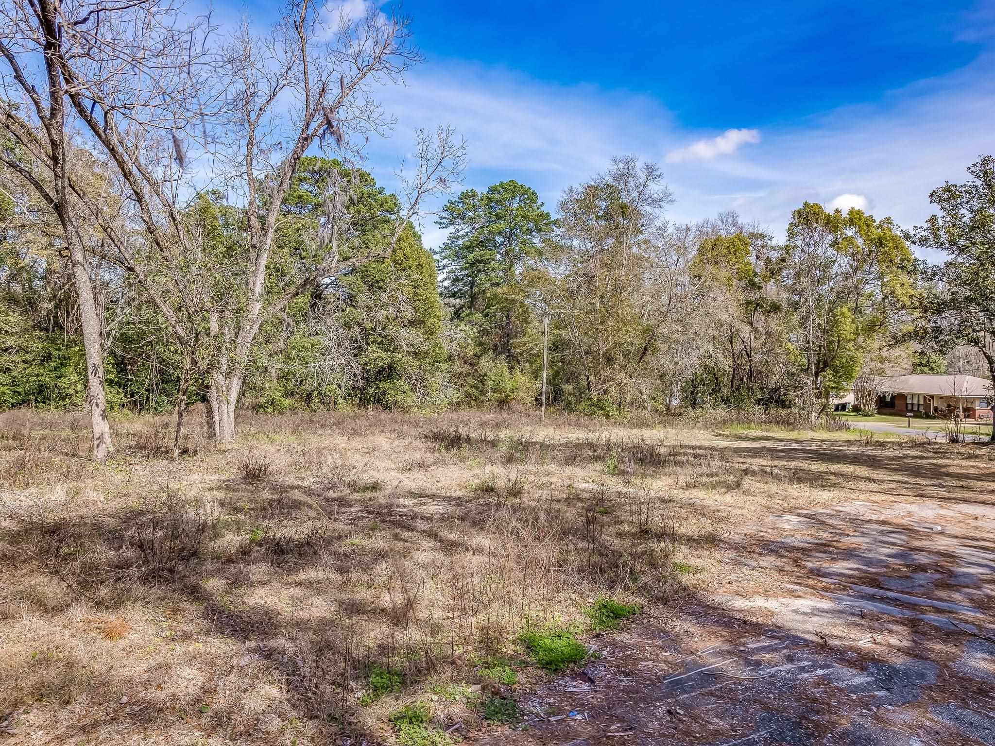 1452 Fisher,TALLAHASSEE,Florida 32301,Lots and land,Fisher,366440