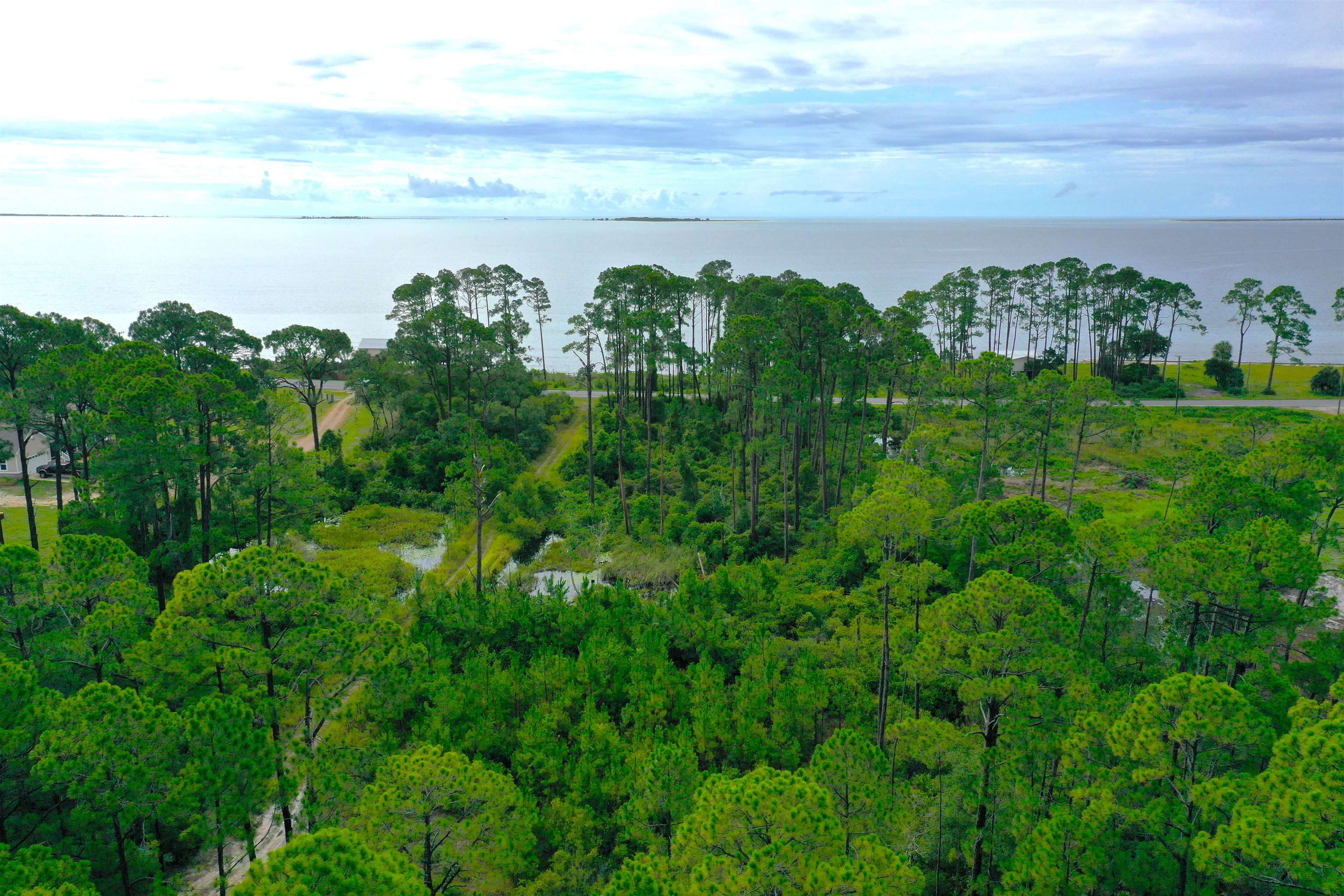 2137 98,CARRABELLE,Florida 32322,Lots and land,98,361602