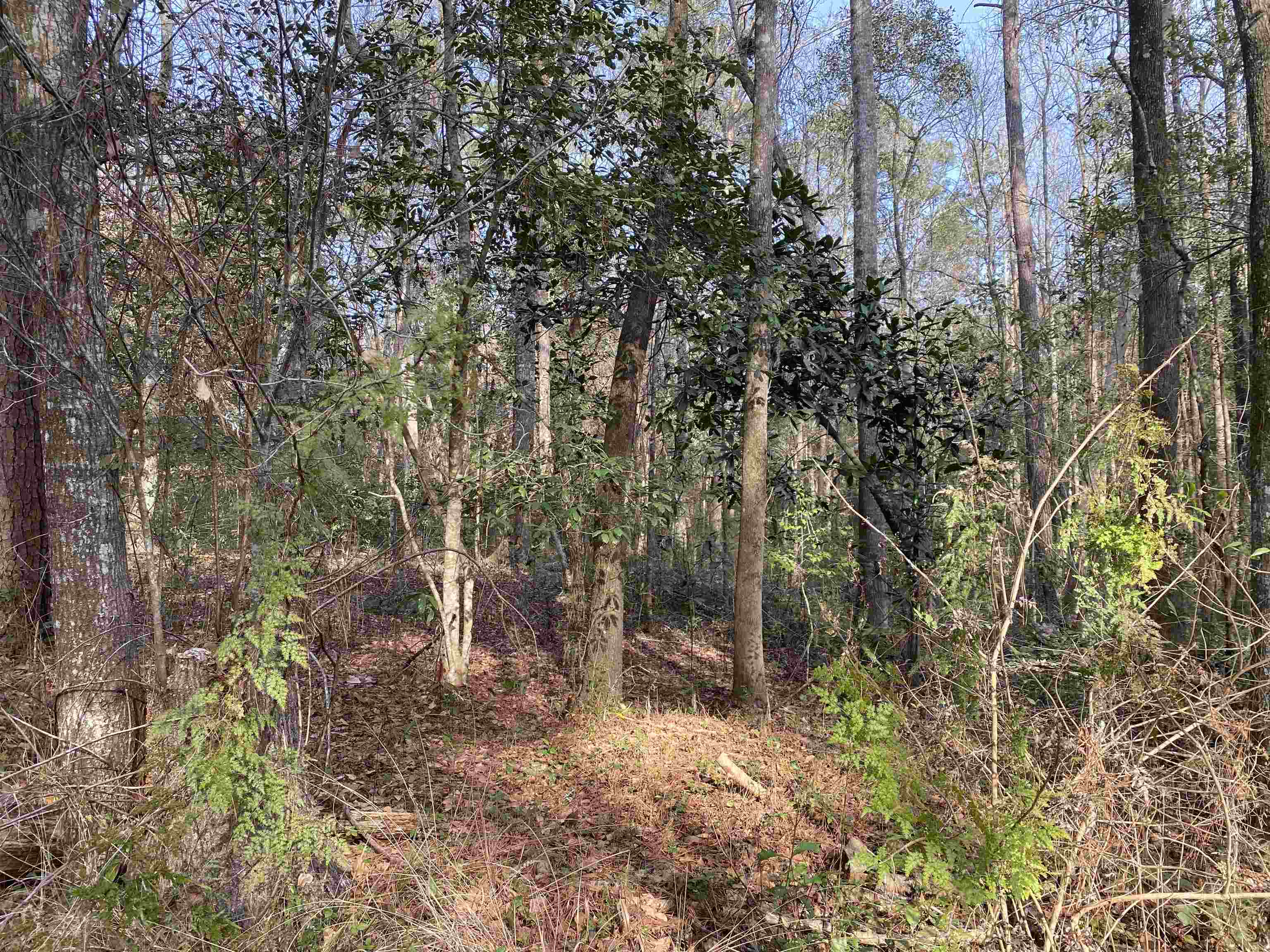 PARRAMORE SHORES,TALLAHASSEE,Florida 32310,Lots and land,PARRAMORE SHORES,366524