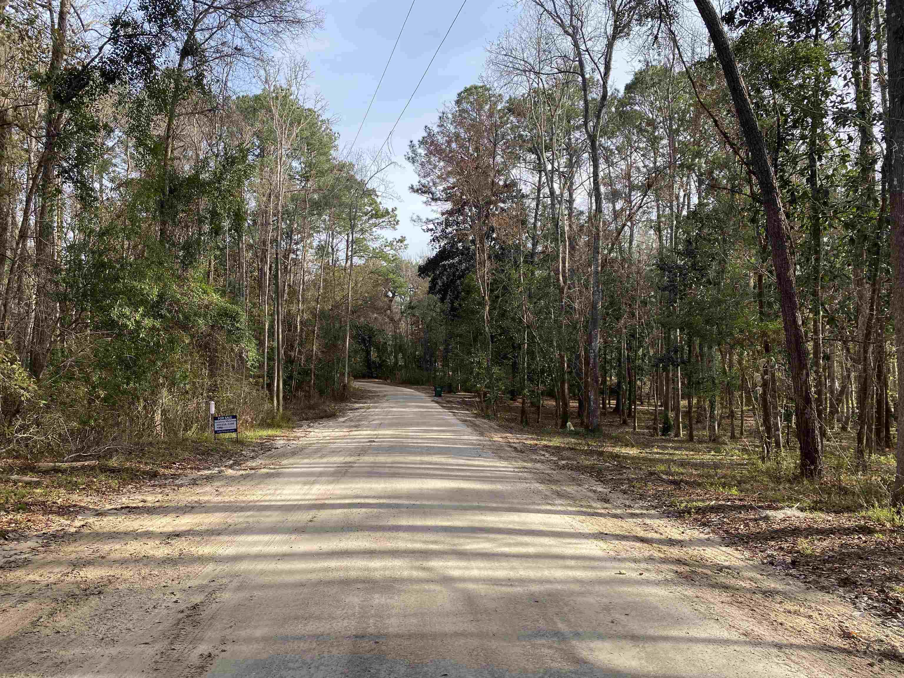 PARRAMORE SHORES,TALLAHASSEE,Florida 32310,Lots and land,PARRAMORE SHORES,366524