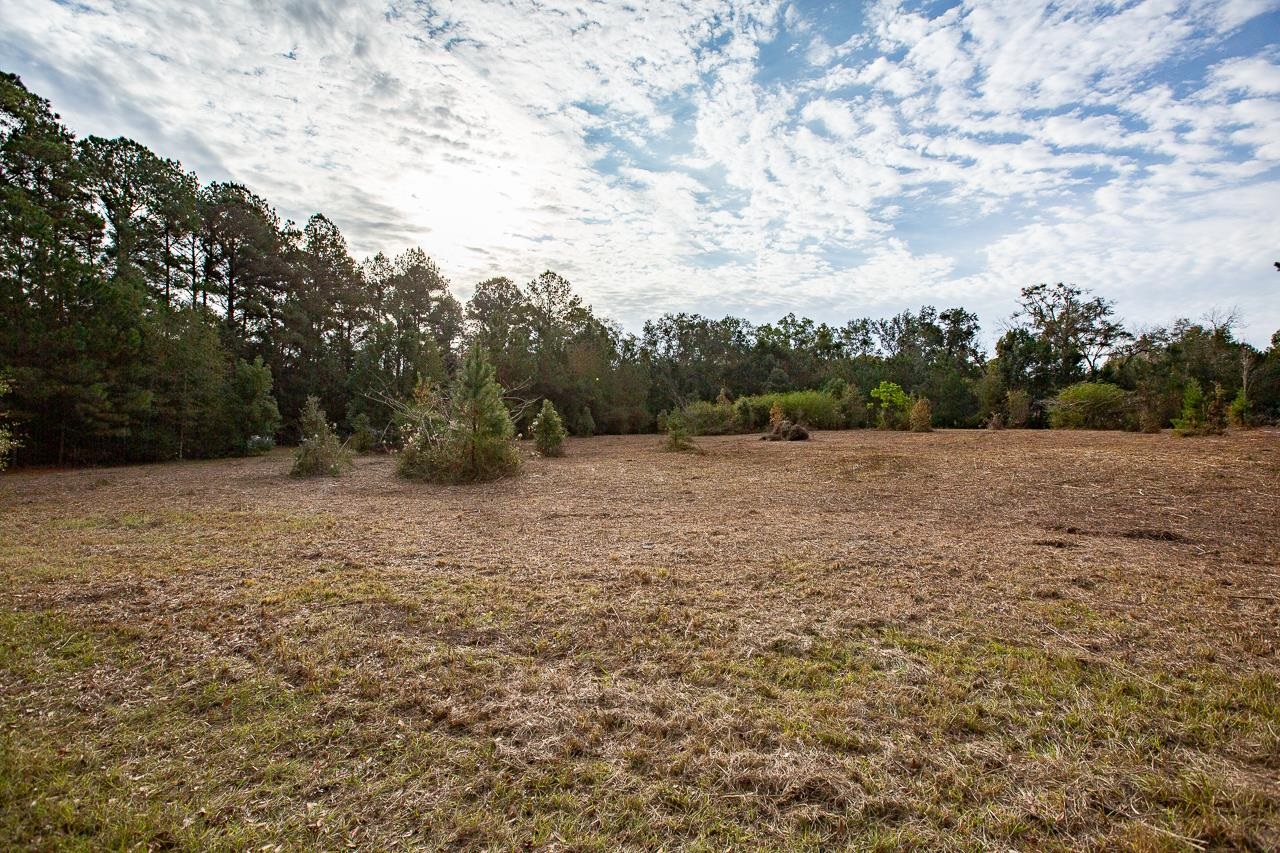 VACANT Mahan,MONTICELLO,Florida 32344,Lots and land,Mahan,366532