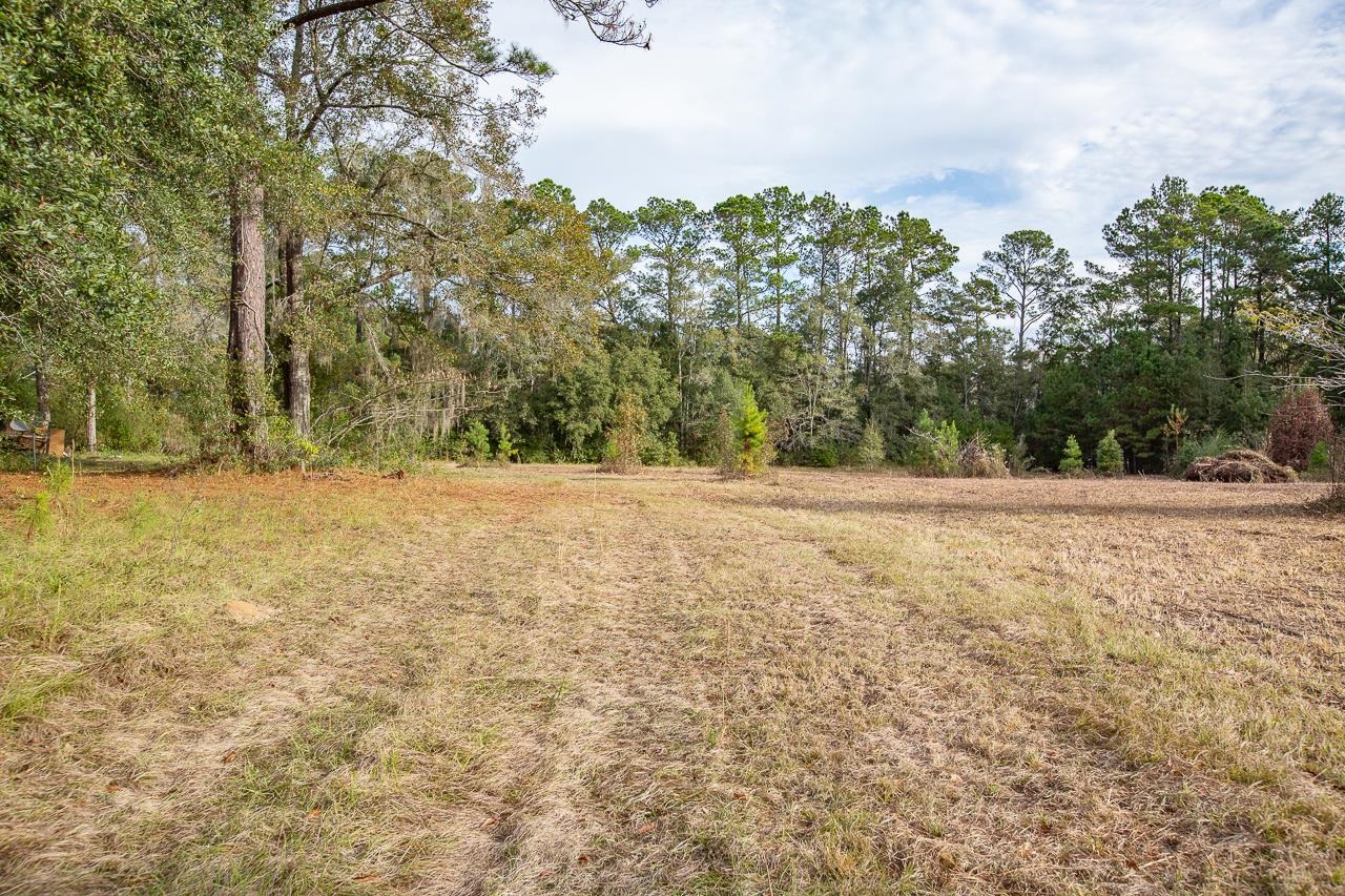 VACANT Mahan,MONTICELLO,Florida 32344,Lots and land,Mahan,366532