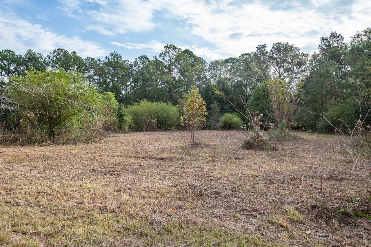 VACANT Mahan,MONTICELLO,Florida 32344,Lots and land,Mahan,366532