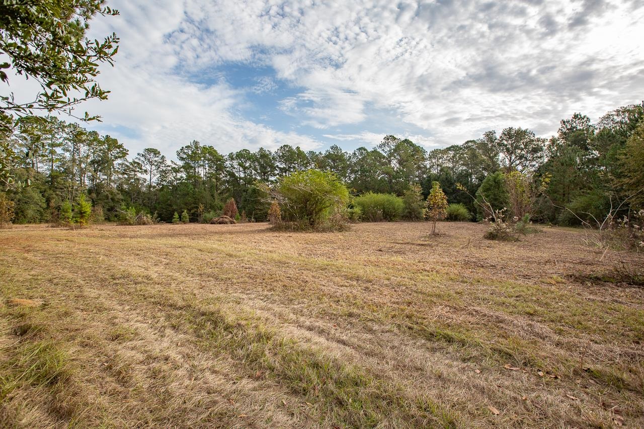 VACANT Mahan,MONTICELLO,Florida 32344,Lots and land,Mahan,366532