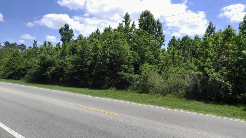 XX County Road 12,BRISTOL,Florida 32321,Lots and land,County Road 12,366545