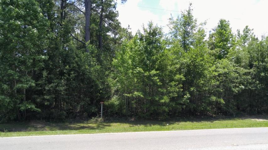 XX County Road 12,BRISTOL,Florida 32321,Lots and land,County Road 12,366545