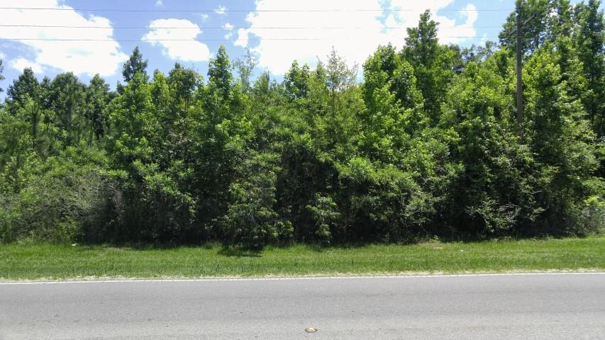 XX County Road 12,BRISTOL,Florida 32321,Lots and land,County Road 12,366545