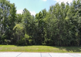 XX County Road 12,BRISTOL,Florida 32321,Lots and land,County Road 12,366545