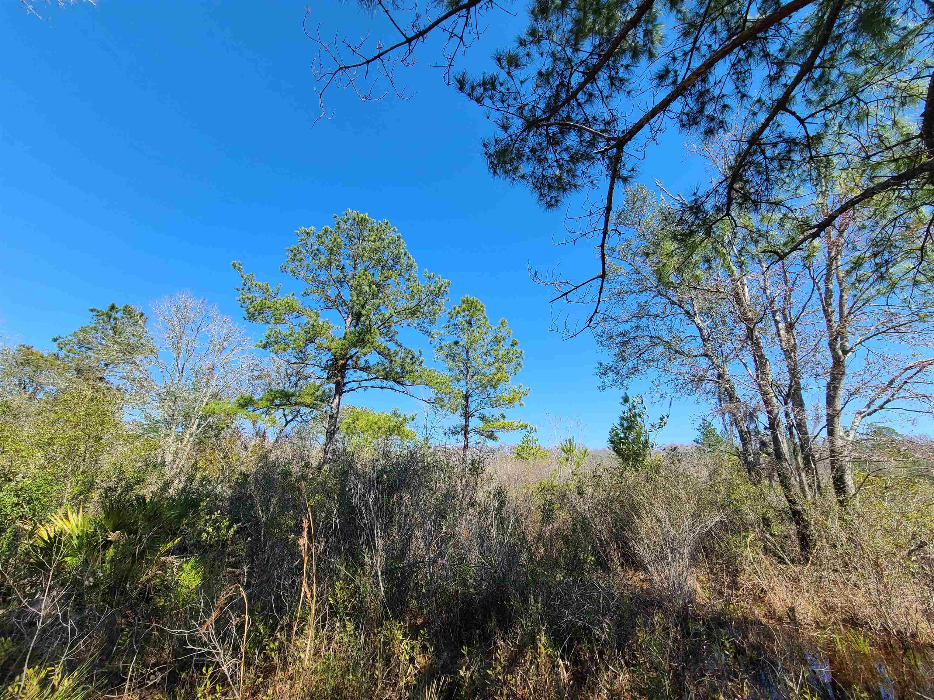 00 Wabasso,GREENVILLE,Florida 32331-0000,Lots and land,Wabasso,368967