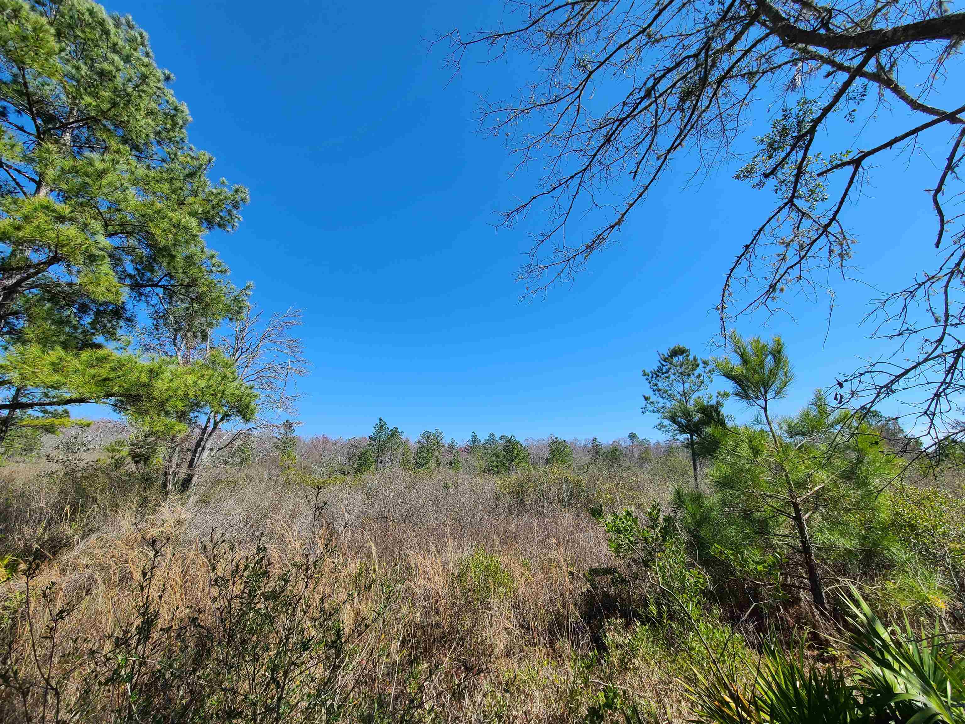 00 Wabasso,GREENVILLE,Florida 32331-0000,Lots and land,Wabasso,368967