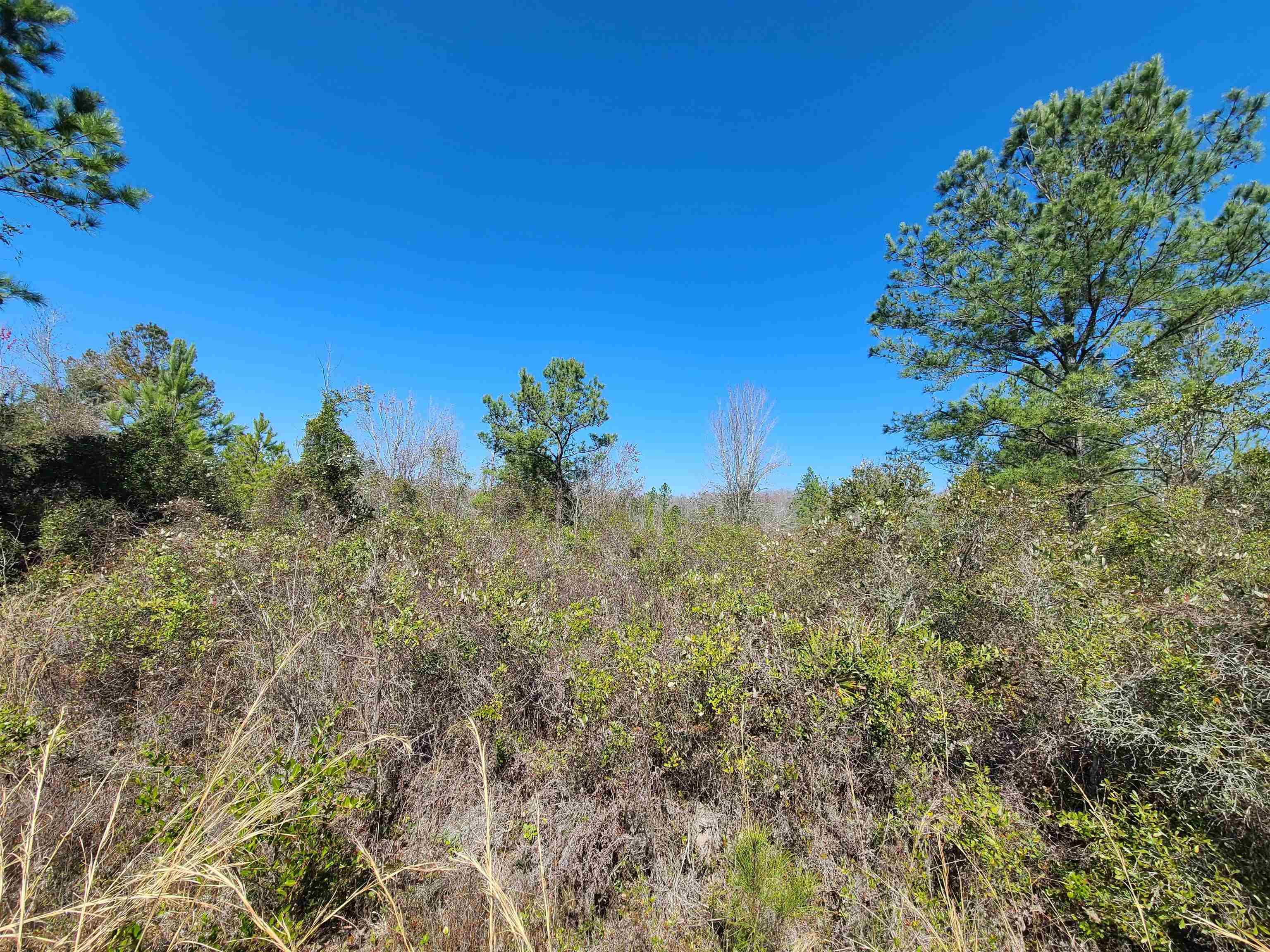 00 Wabasso,GREENVILLE,Florida 32331-0000,Lots and land,Wabasso,368967