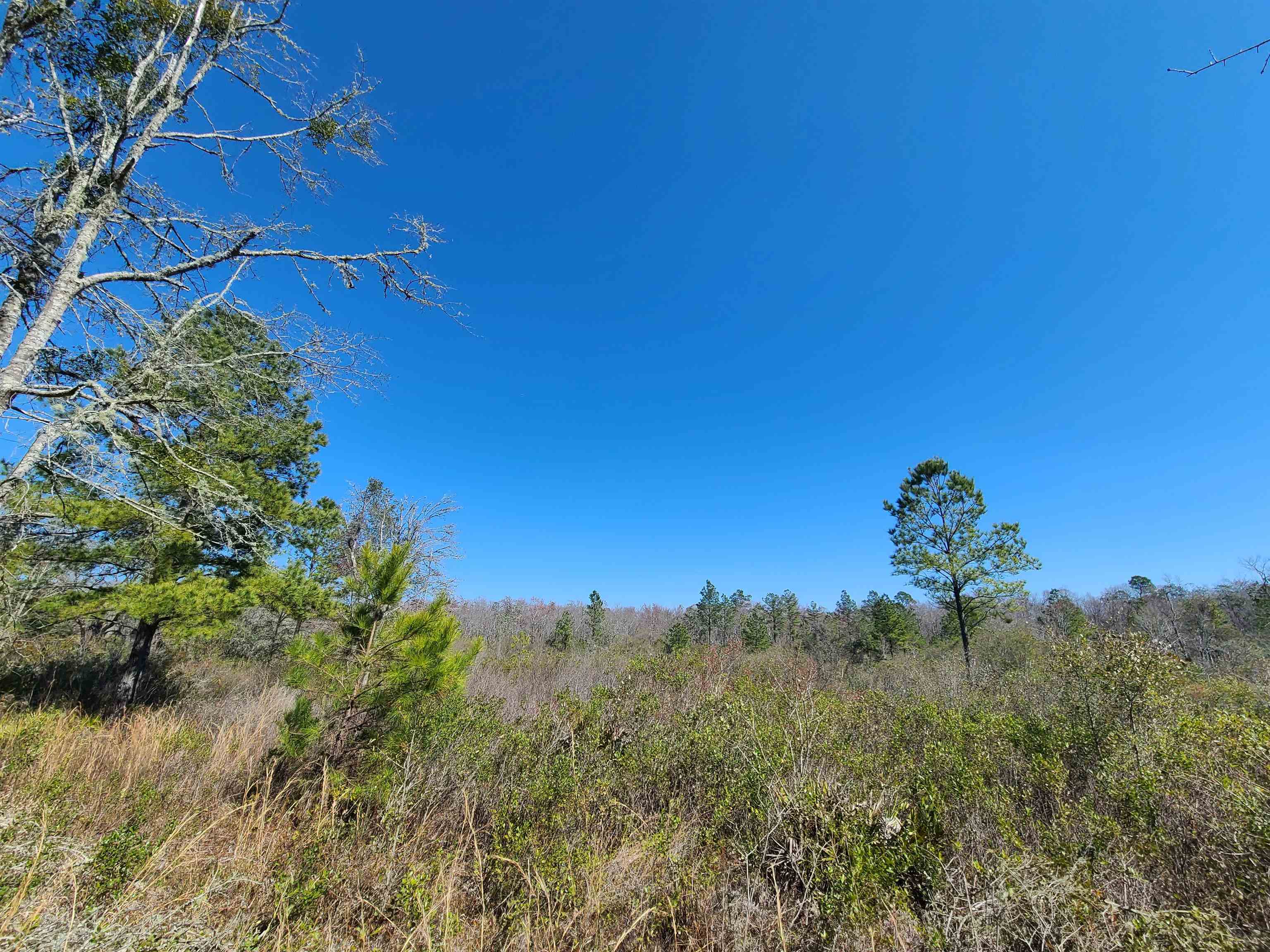 00 Wabasso,GREENVILLE,Florida 32331-0000,Lots and land,Wabasso,368967