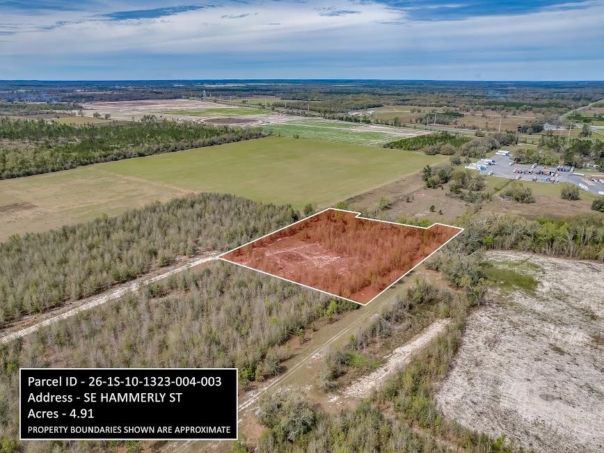 xxx SE HAMMERLY ST,LEE,Florida 32059,Lots and land,SE HAMMERLY ST,368974