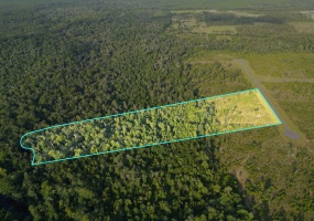 Lot 13 Short Branch,BRISTOL,Florida 32321,Lots and land,Short Branch,361649