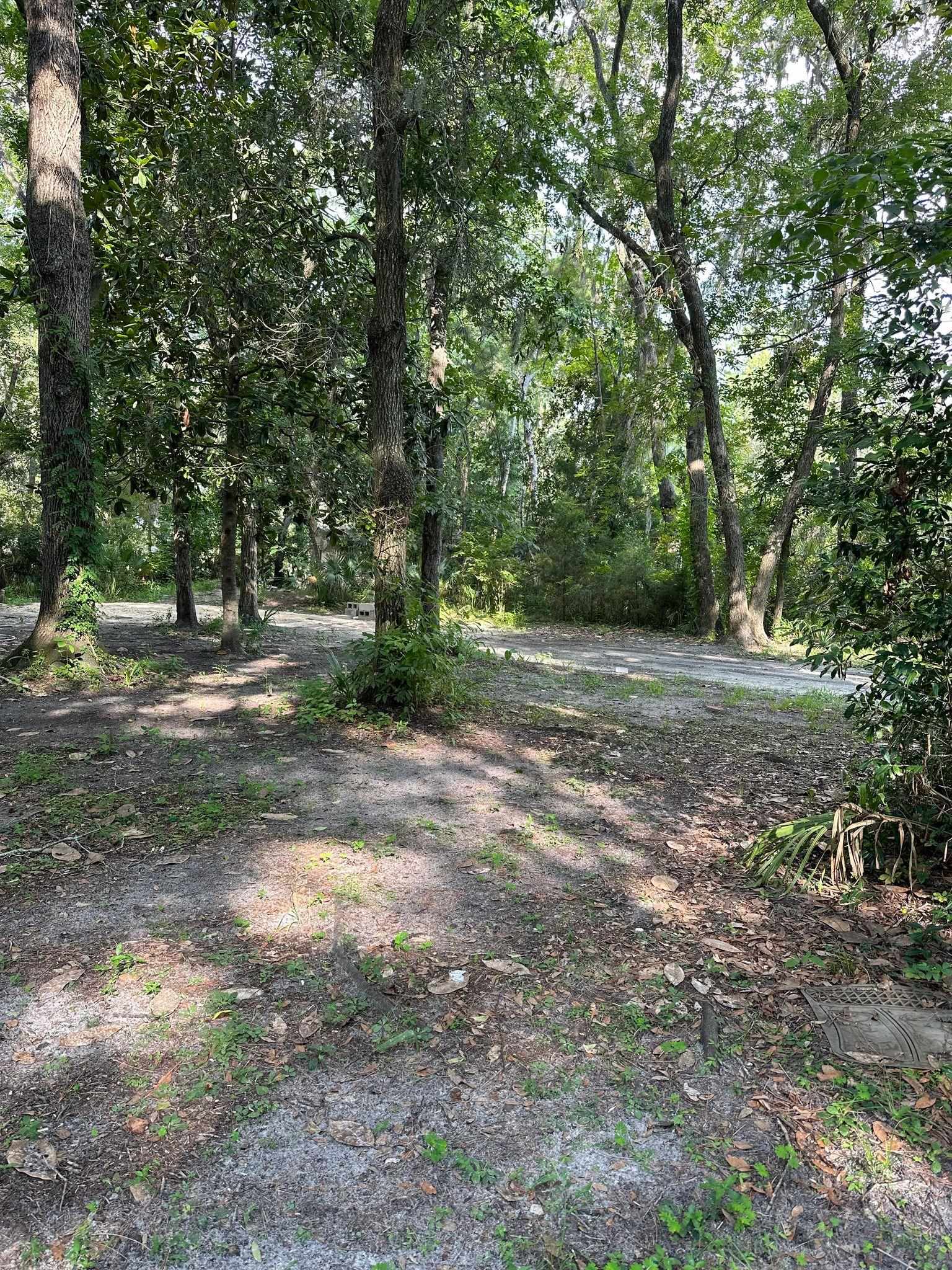 500 Stephens,STEINHATCHEE,Florida 32359,Lots and land,Stephens,361702