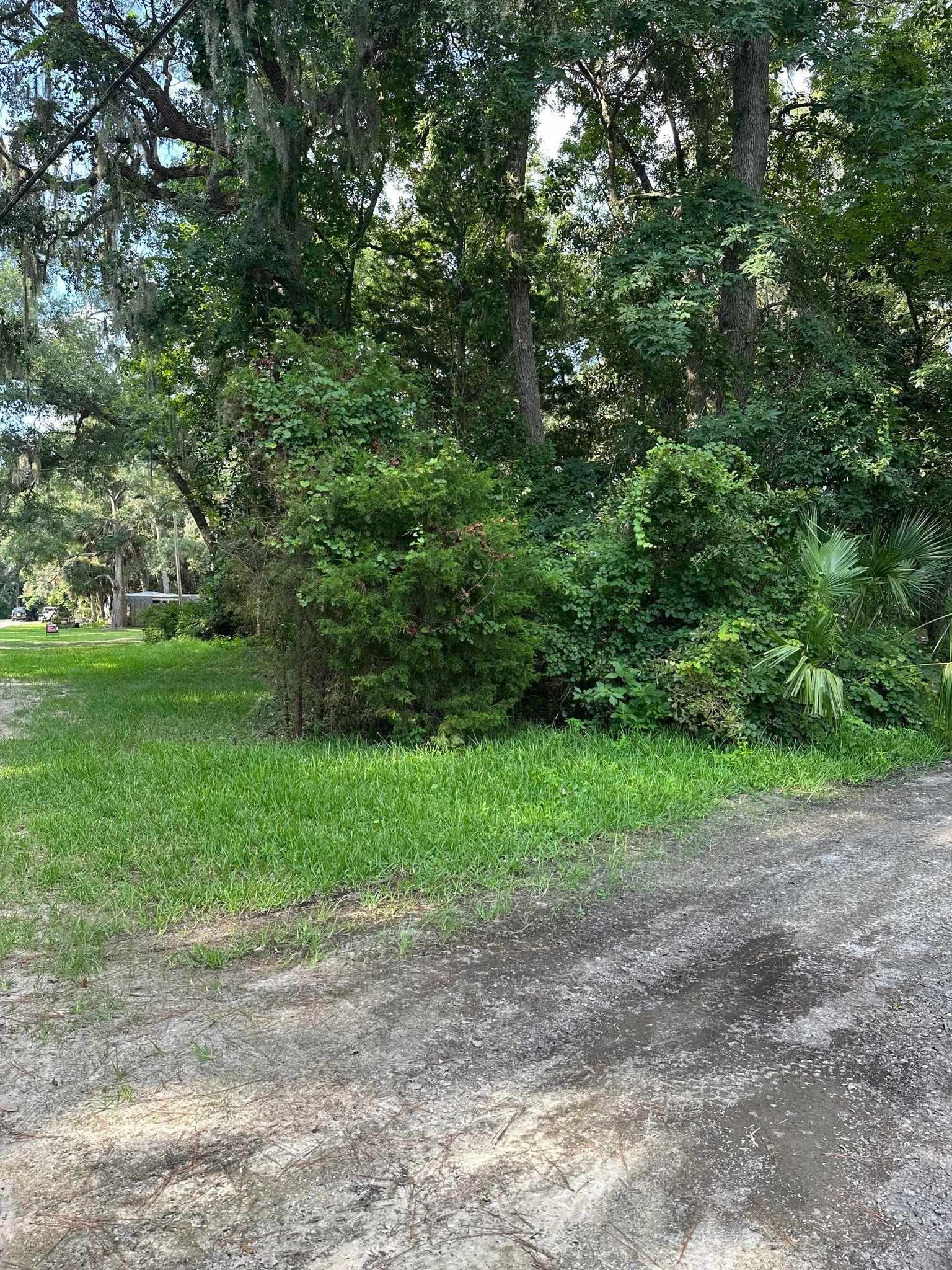 500 Stephens,STEINHATCHEE,Florida 32359,Lots and land,Stephens,361702