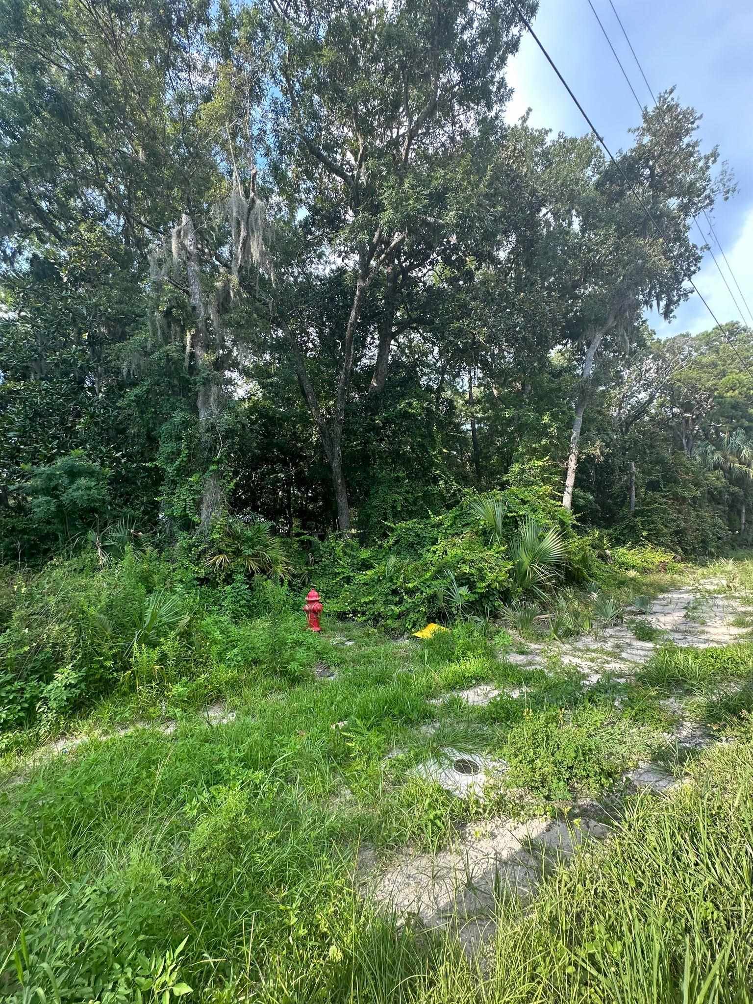 500 Stephens,STEINHATCHEE,Florida 32359,Lots and land,Stephens,361702