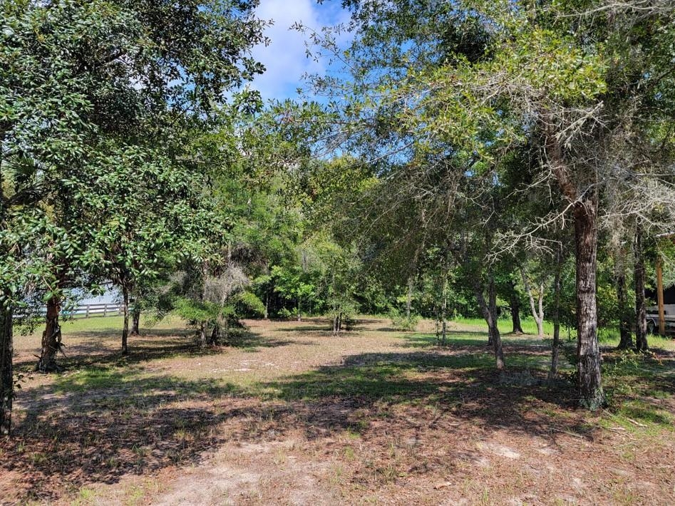 0 Sweetgum,STEINHATCHEE,Florida 32359,Lots and land,Sweetgum,366624