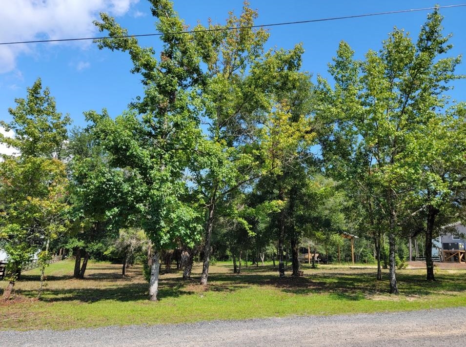 0 Sweetgum,STEINHATCHEE,Florida 32359,Lots and land,Sweetgum,366624