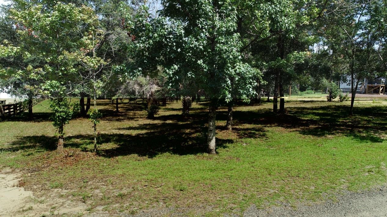 0 Sweetgum,STEINHATCHEE,Florida 32359,Lots and land,Sweetgum,366624