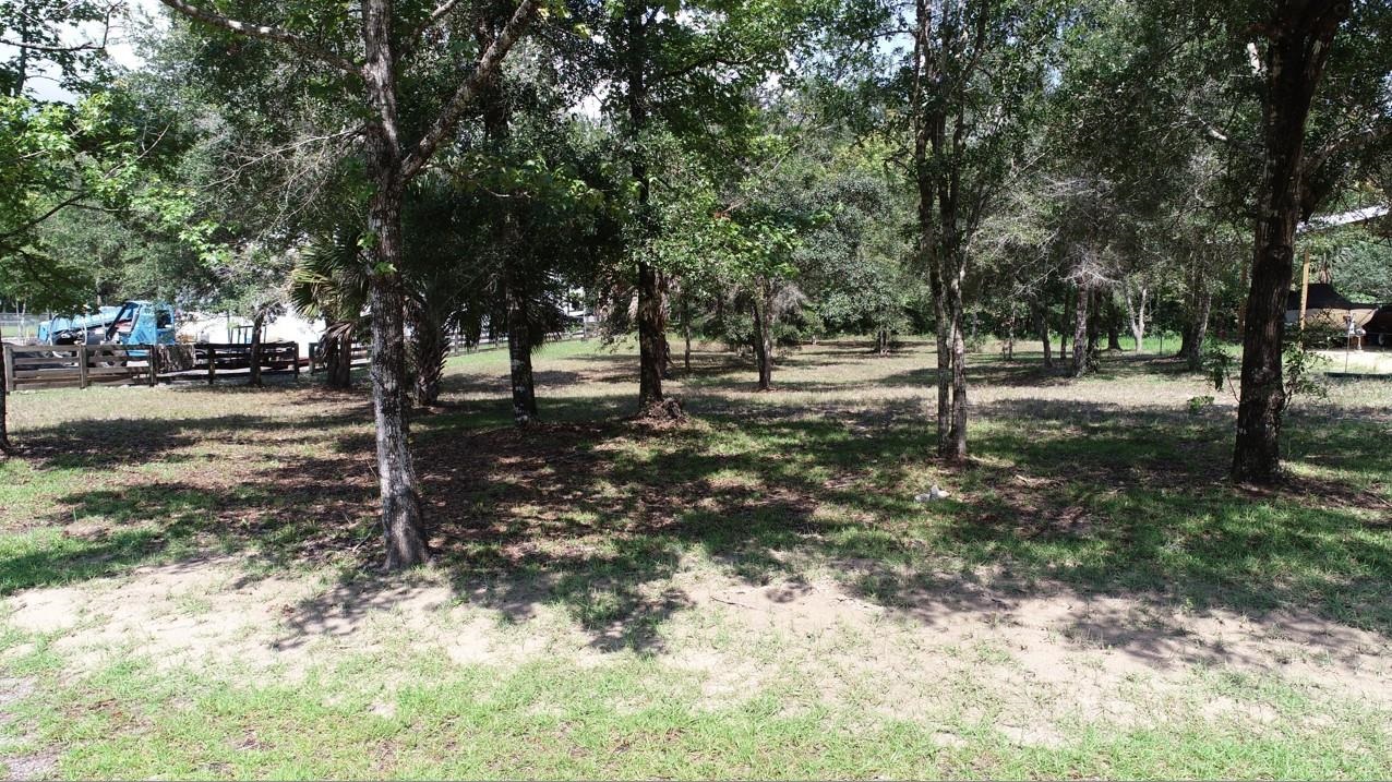 0 Sweetgum,STEINHATCHEE,Florida 32359,Lots and land,Sweetgum,366624