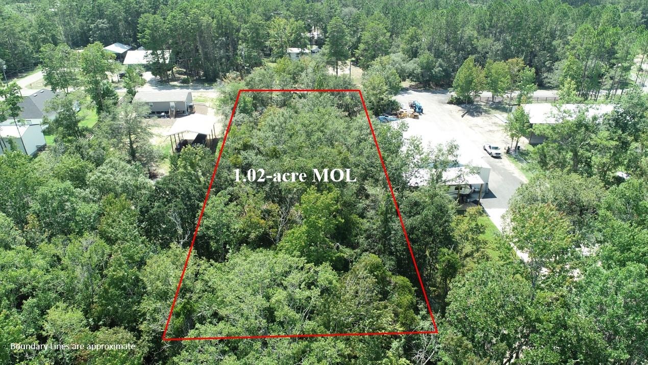 0 Sweetgum,STEINHATCHEE,Florida 32359,Lots and land,Sweetgum,366624