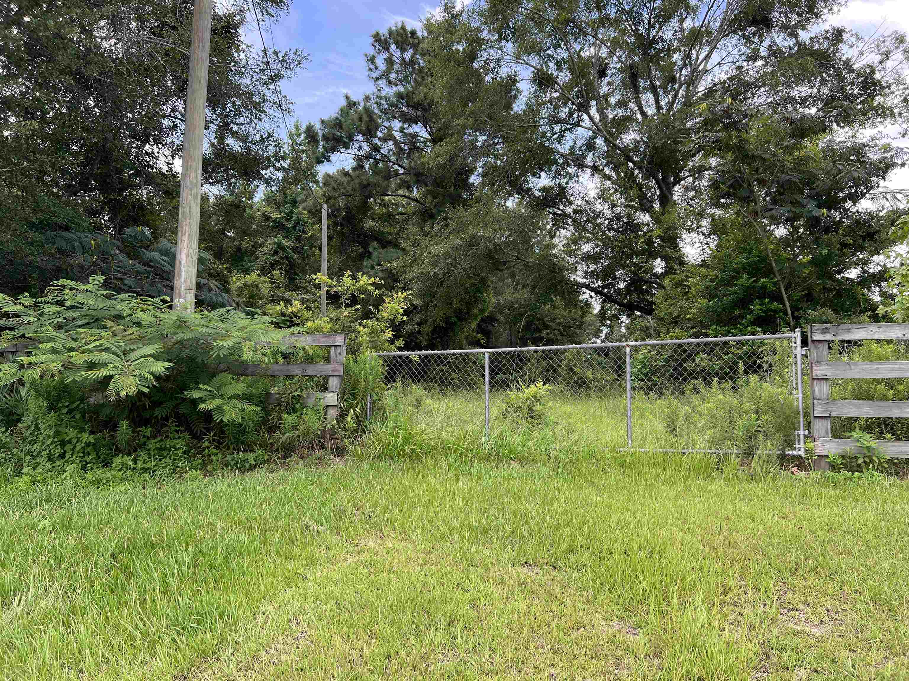 18701 Blue Star,QUINCY,Florida 32351,Lots and land,Blue Star,361785